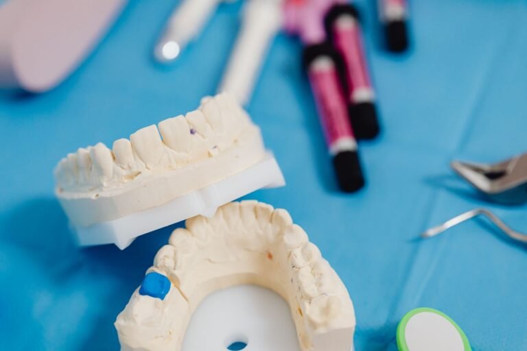 Dental model with a crown used to explain what to do when a crown falls off
