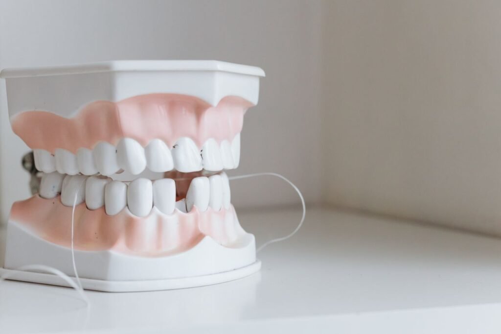Close-up of a full set of dentures